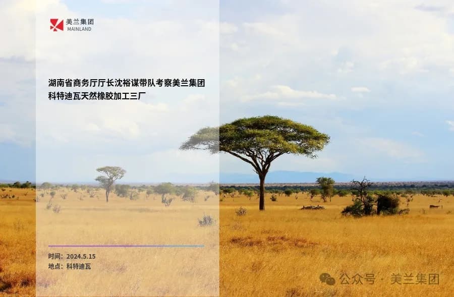 Cover for 湖南省商务厅厅长沈裕谋带队考察美兰集团科特迪瓦天然橡胶加工三厂