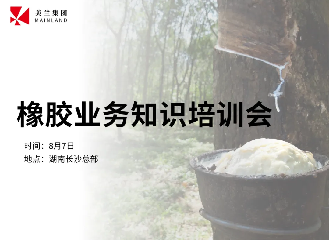 Cover for 深耕橡胶领域,共筑专业基石 —— 2024年美兰集团橡胶业务知识培训会圆满落幕