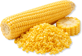 玉米
