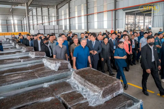 柬讯商务通：再投3000万美元：中国企业深耕柬埔寨橡胶产业链